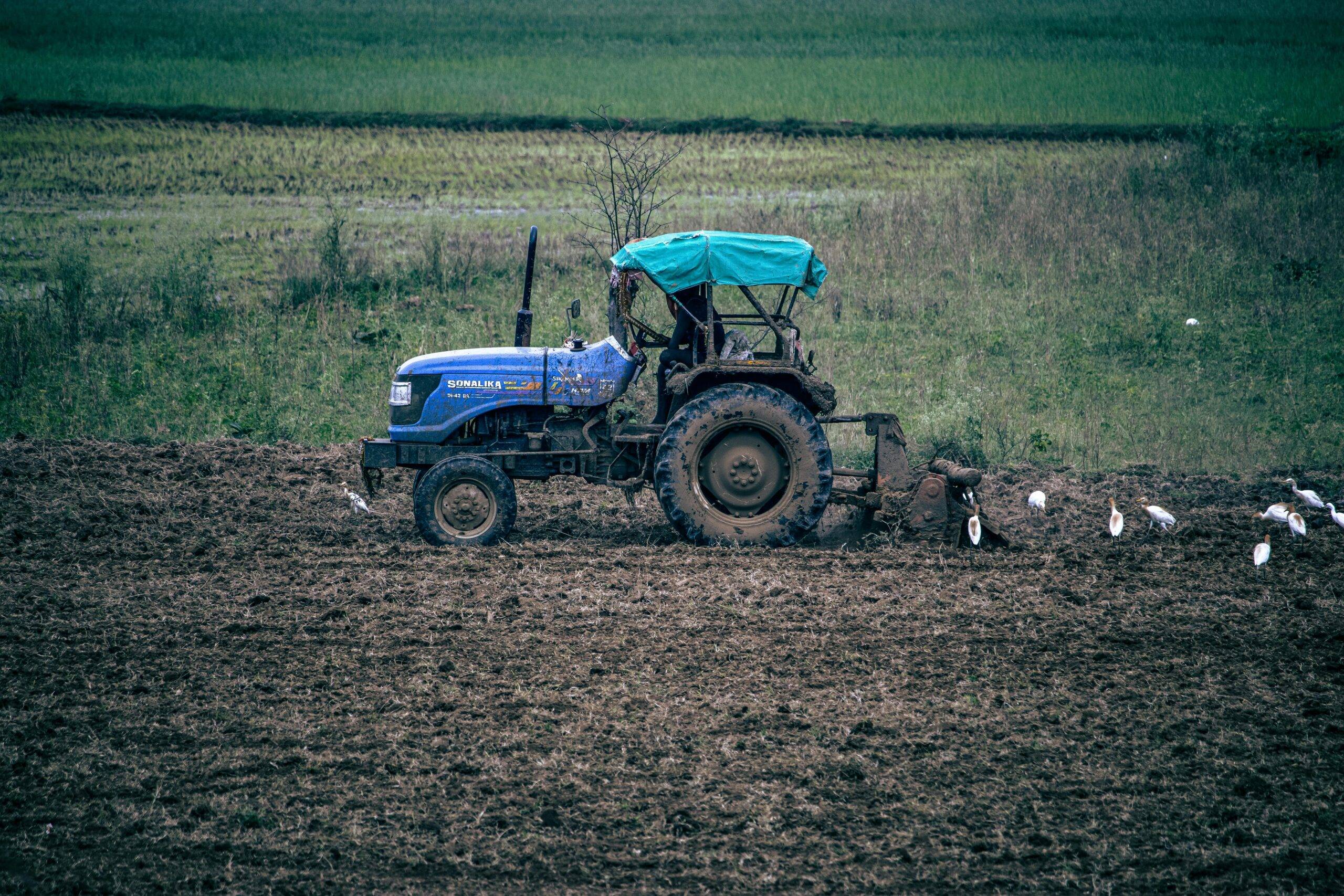 agriculture of India
